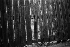 ©Paul-Eggleston-2026-XX02-14