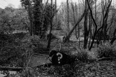 ©Paul-Eggleston-2026-XX02-15
