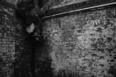 ©Paul-Eggleston-2026-XX02-24