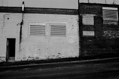 ©Paul-Eggleston-2026_35ortho-14