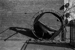 ©Paul_Eggleston_2026_02_ORTHTRAMP-1