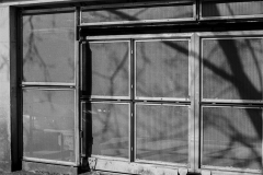 ©Paul_Eggleston_2026_03XXMANCH-14