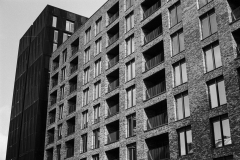 ©Paul_Eggleston_2026_03XXMANCH-18