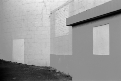 ©Paul_Eggleston_2026_03XXSLB-11