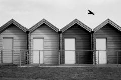 ©Paul_Eggleston_2026_03XXSLB-5