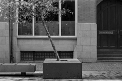 ©Paul_Eggleston_2026_03XXMANCH-1