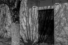 ©Paul_Eggleston_2026_03XXMANCH-32