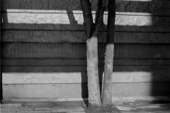 ©Paul_Eggleston_2026_03XXMANCH-5