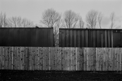 ©Paul_Eggleston_2026_03XXMISC-4