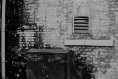 ©Paul_Eggleston_2026_03XXMISC-5