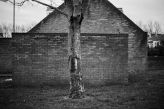 ©Paul_Eggleston_2026_03XXMISC-7