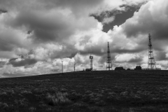 PAUL_EGGLESTON©2025_SM1-12