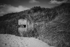 PAUL_EGGLESTON©2025_SM1-7