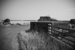 PAUL_EGGLESTON©2025_SM1-9